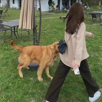 倾世皇妃海报