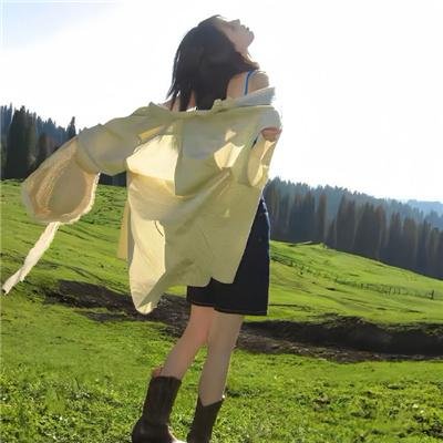 梦游夏威夷海报